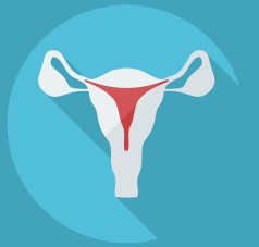 vector uterus